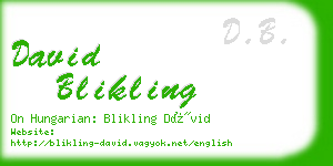 david blikling business card